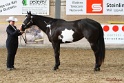 22-APHA HOTC_078